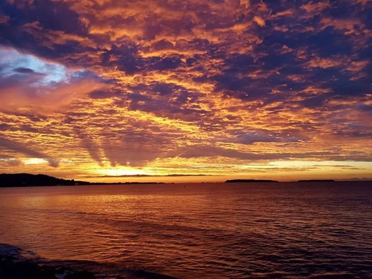 Cover of activity #15084