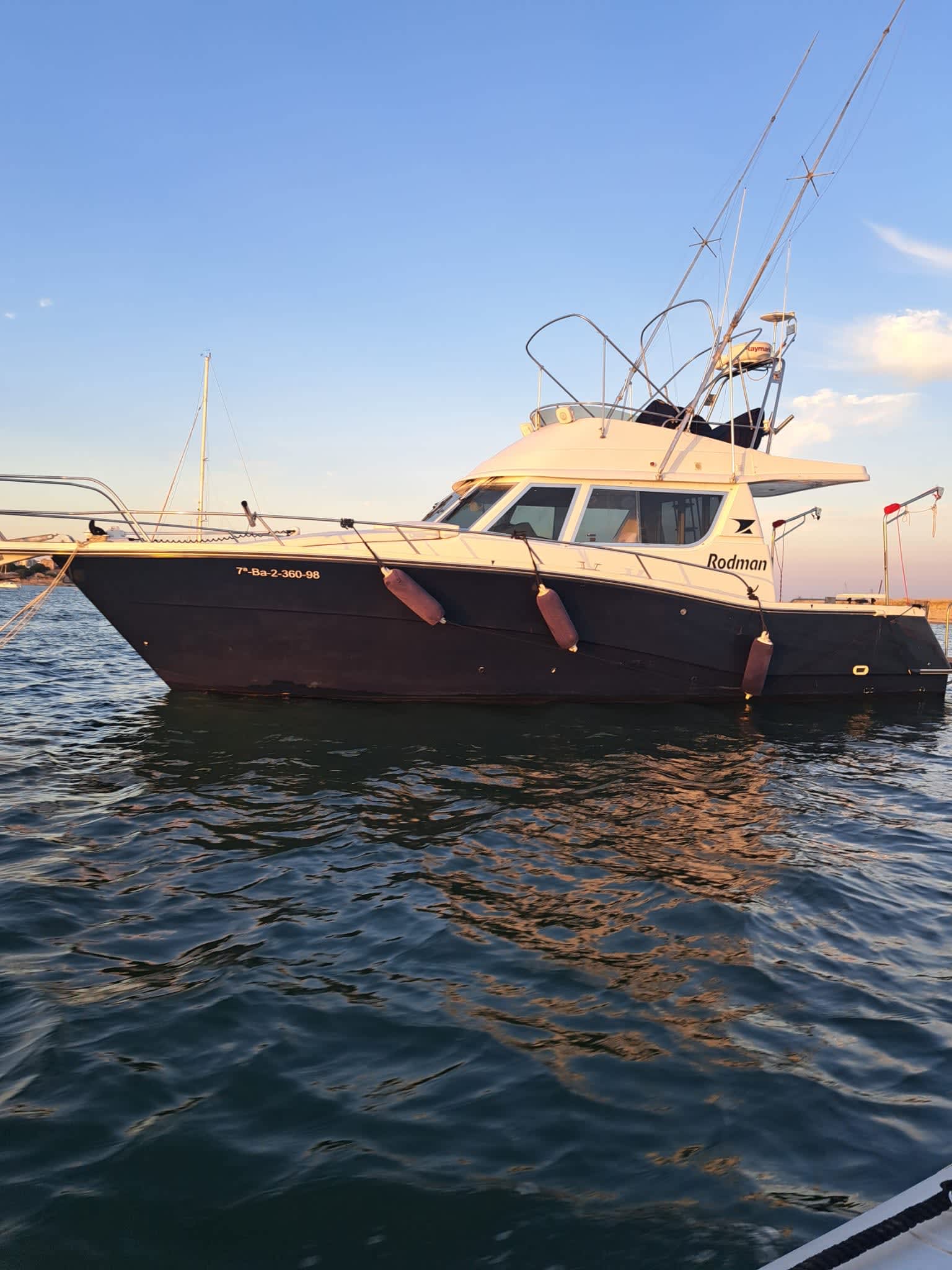 Cover of activity #16991