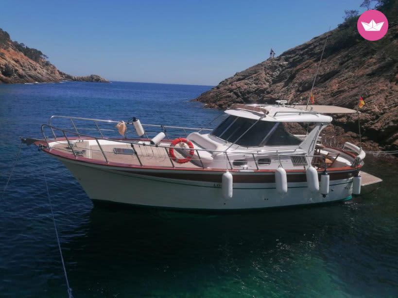 Cover of activity #16149