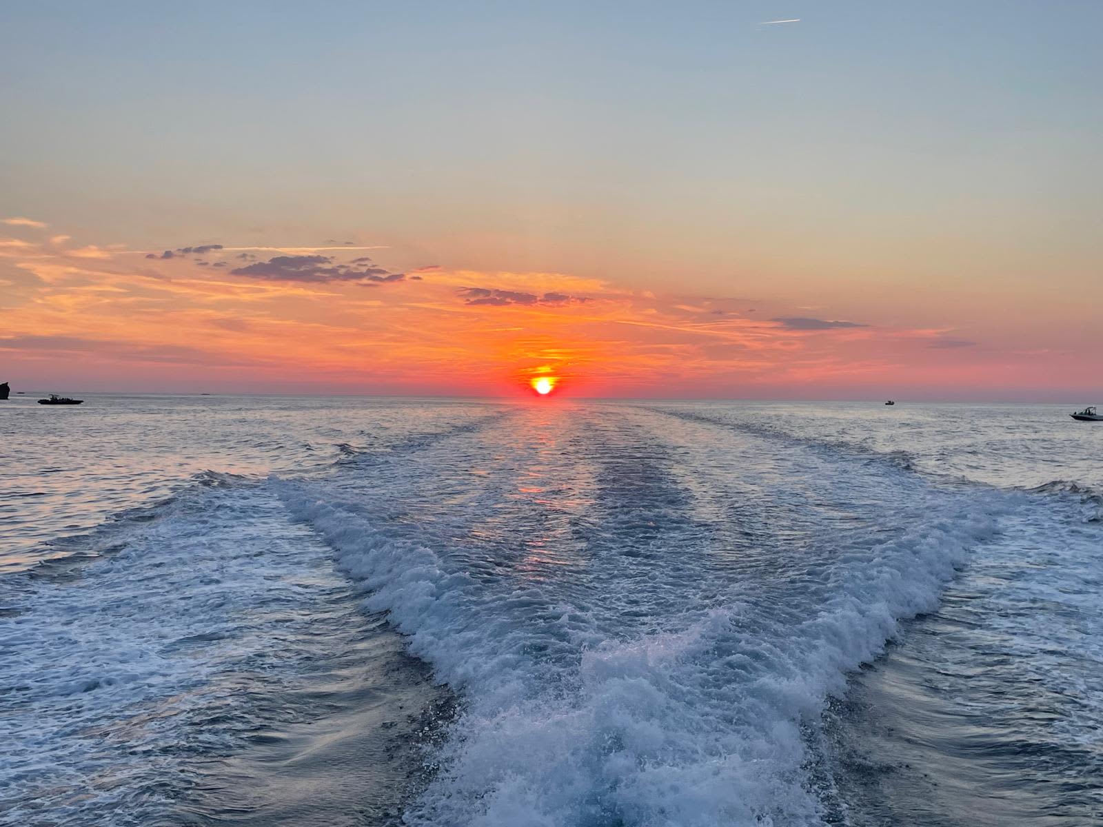 Cover of activity #15415