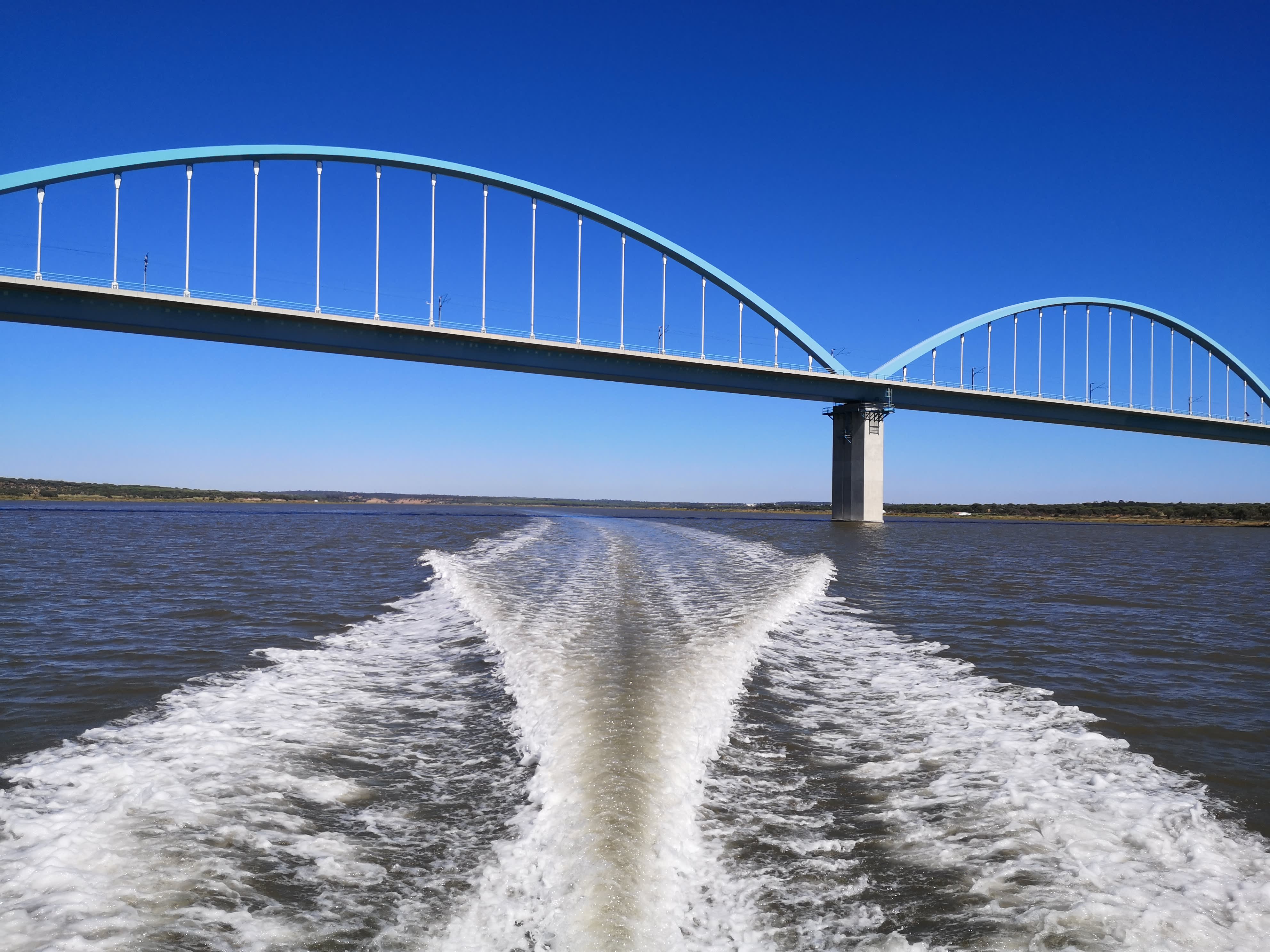 Cover of activity #15601