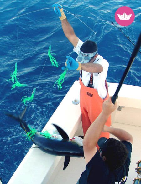 Cover of activity #16086