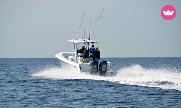 Cover of activity #16089