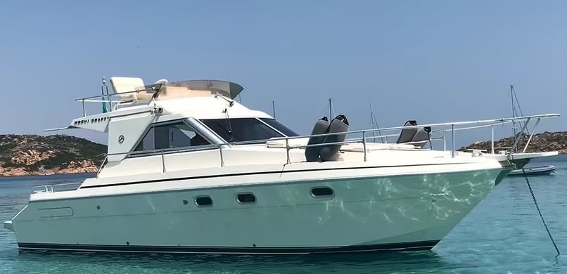 Cover of activity #15554