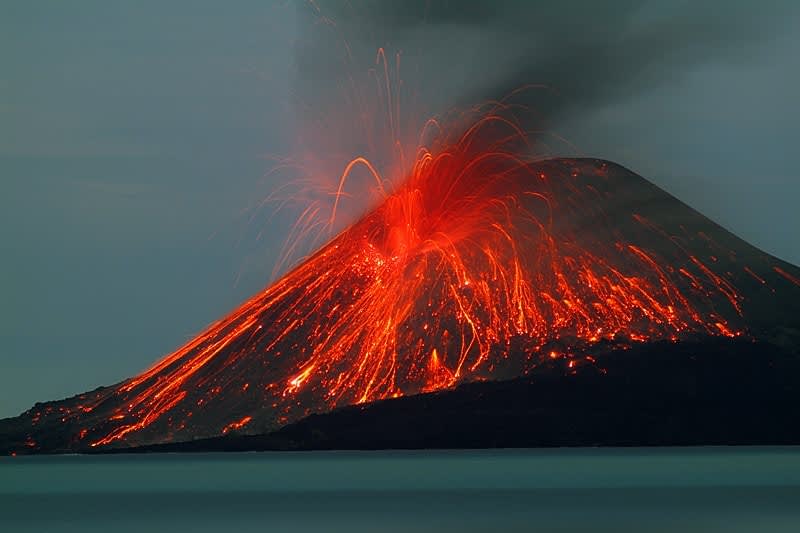 Cover of activity #15555