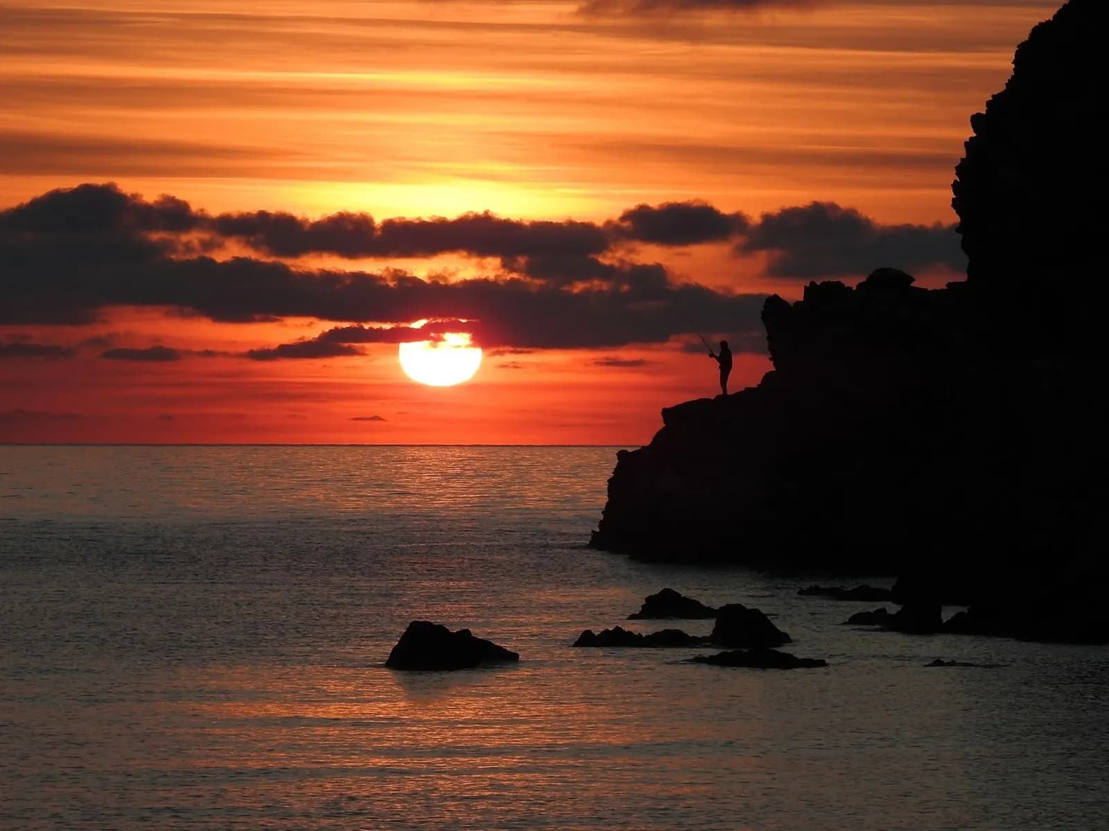 Cover of activity #16080