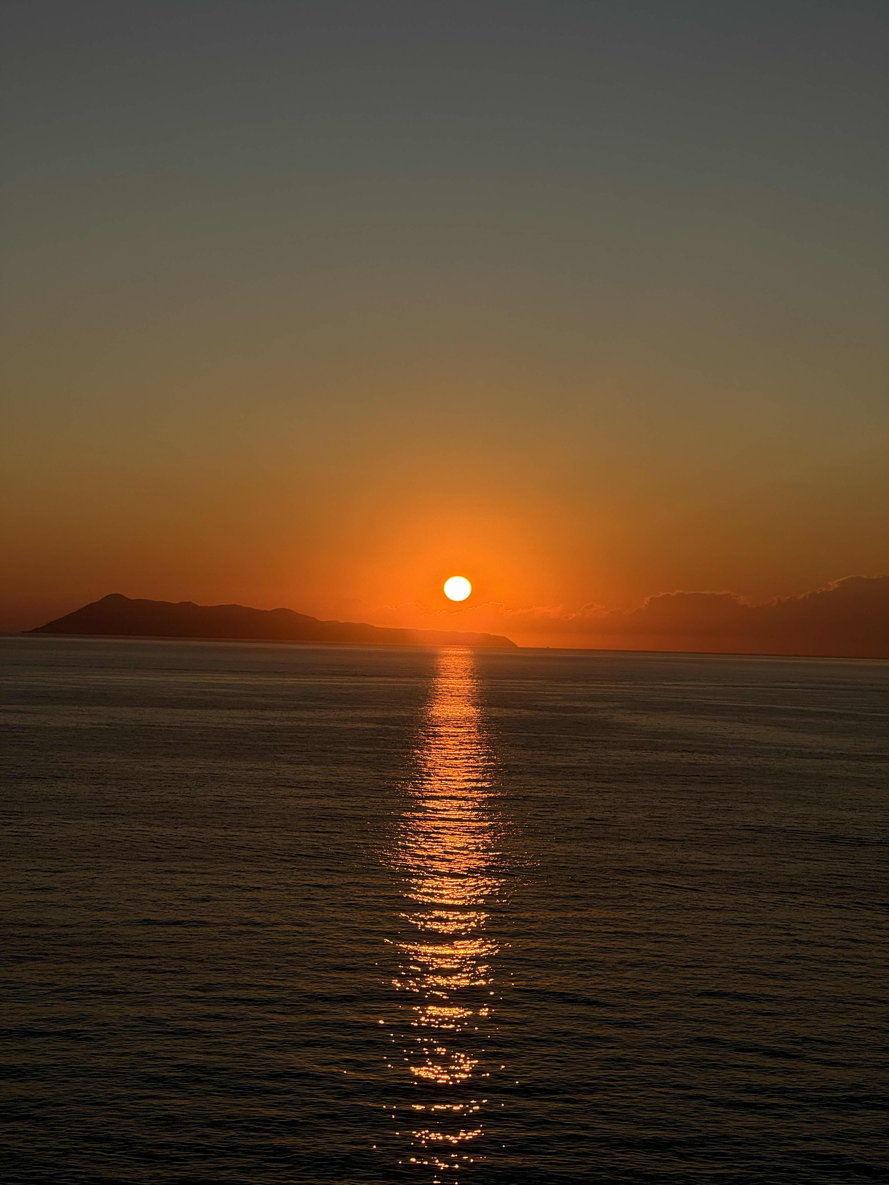 Cover of activity #15542