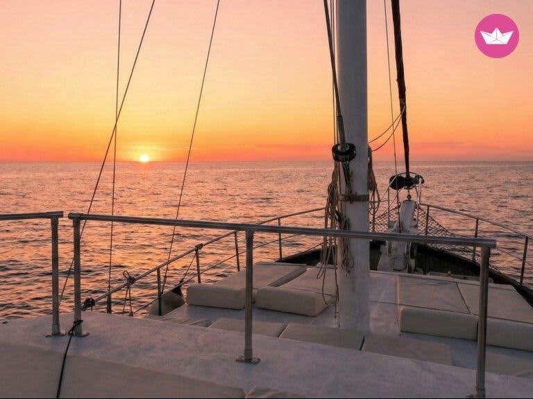 Cover of activity #20995