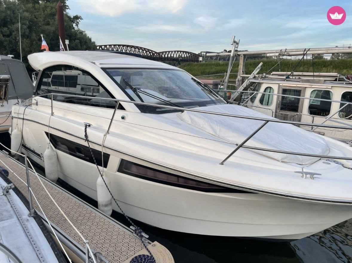 Cover of activity #15498