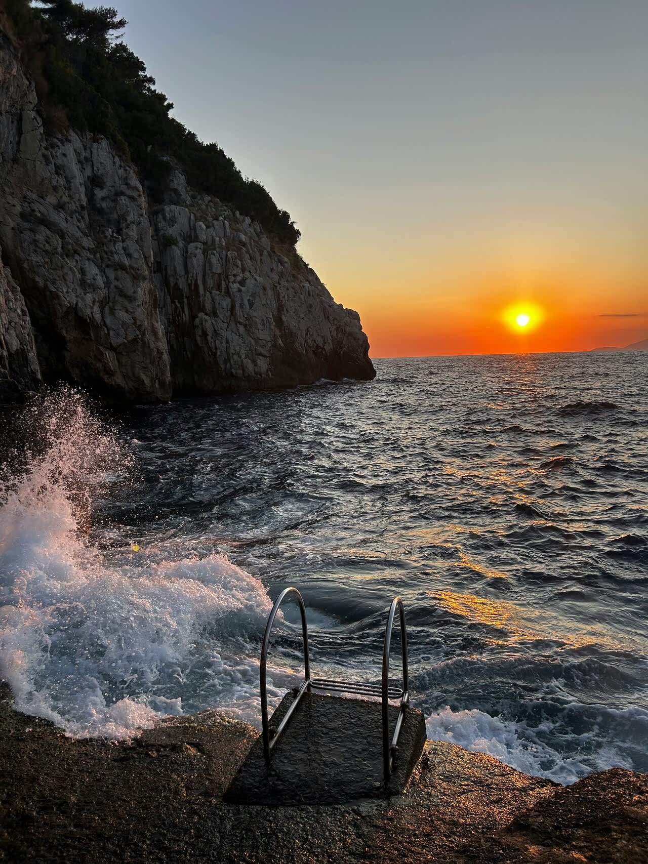 Cover of activity #15588