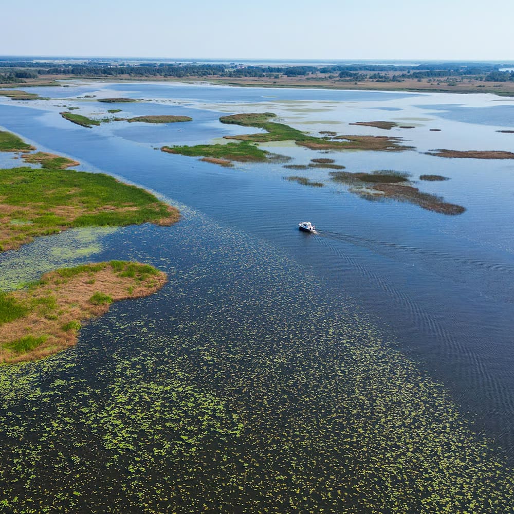 FÅGELSKÅDNING I NEMUNAS DELTA