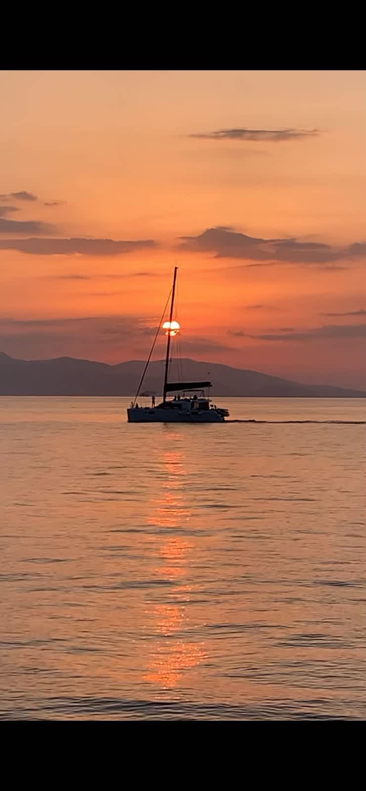 Cover of activity #17555