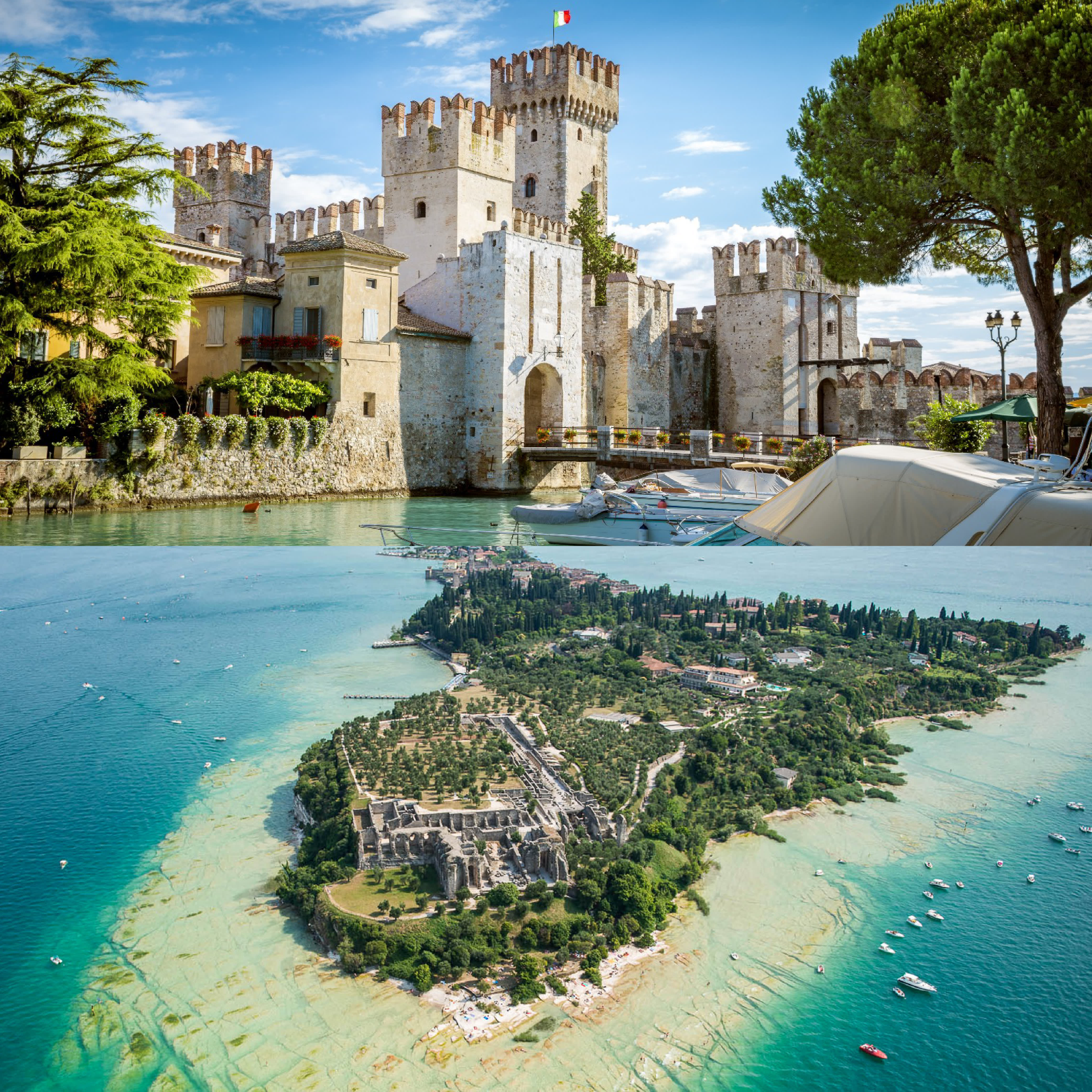 Cover of activity #15455