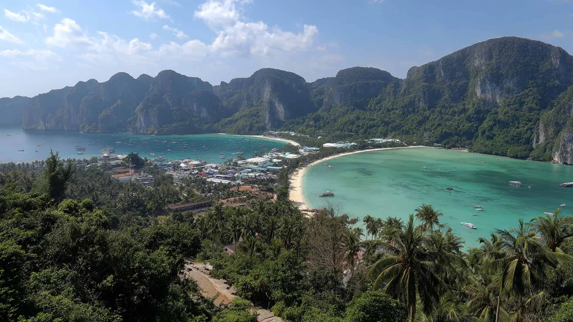 Cover of activity #15579