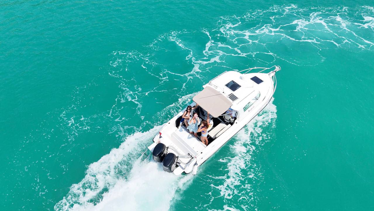 Cover of activity #15961