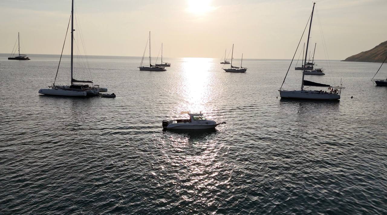 Cover of activity #15966