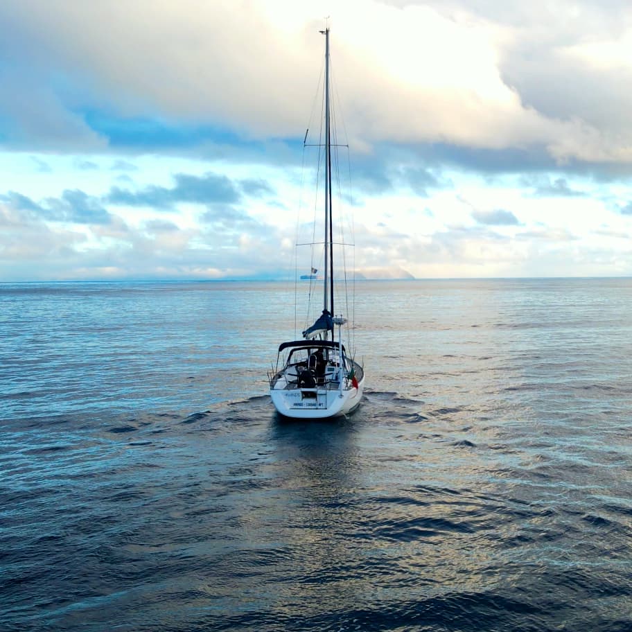 Coastal & Wildlife exploration Sea Tour in Madeira