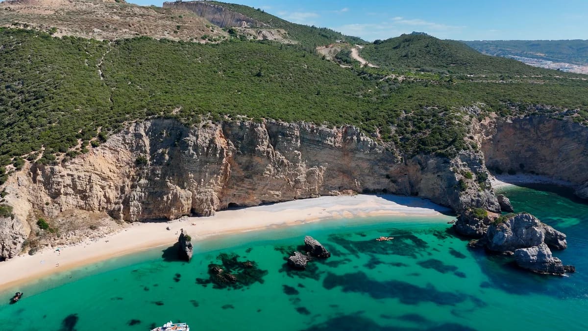 Cover of activity #15370