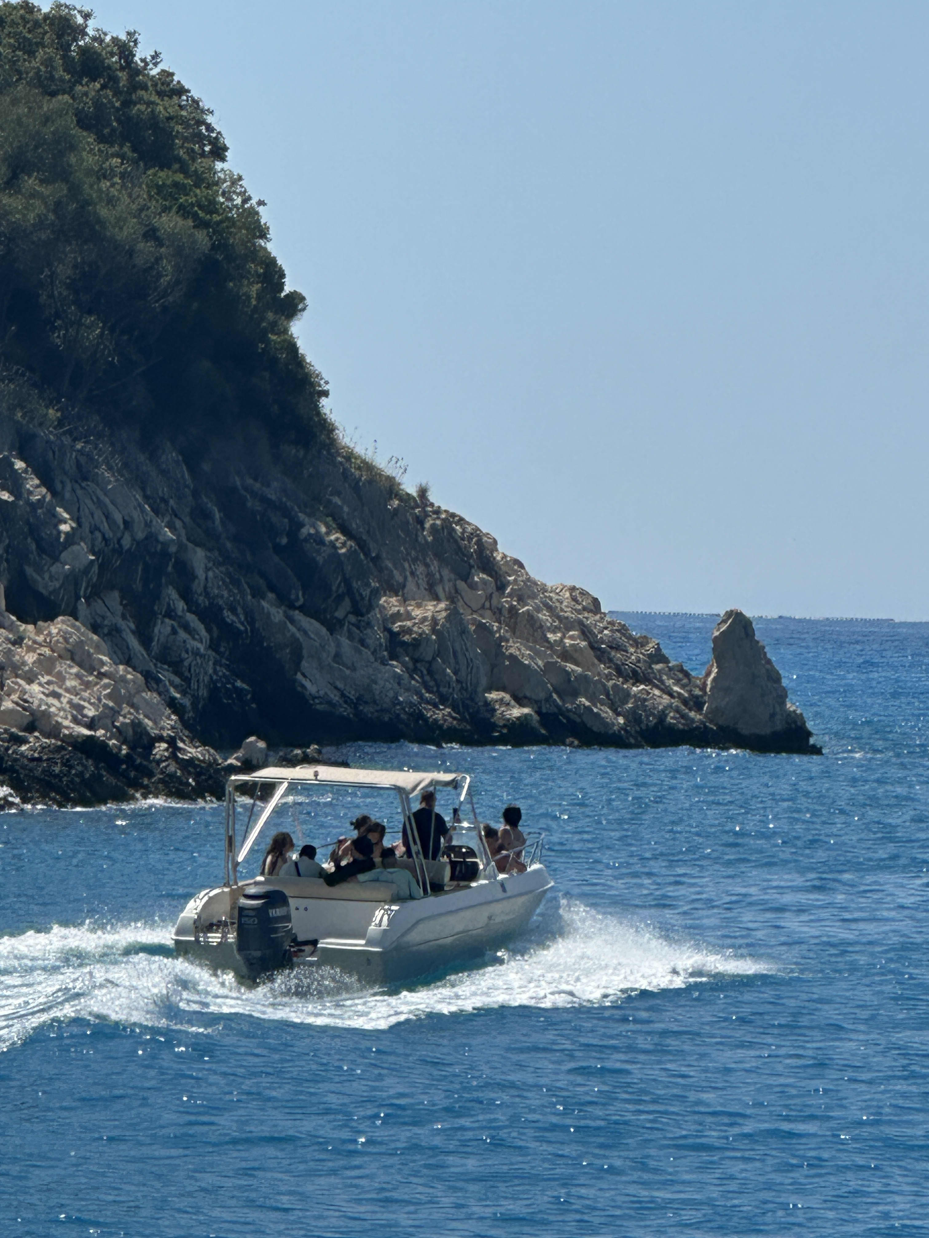 Cover of activity #16196