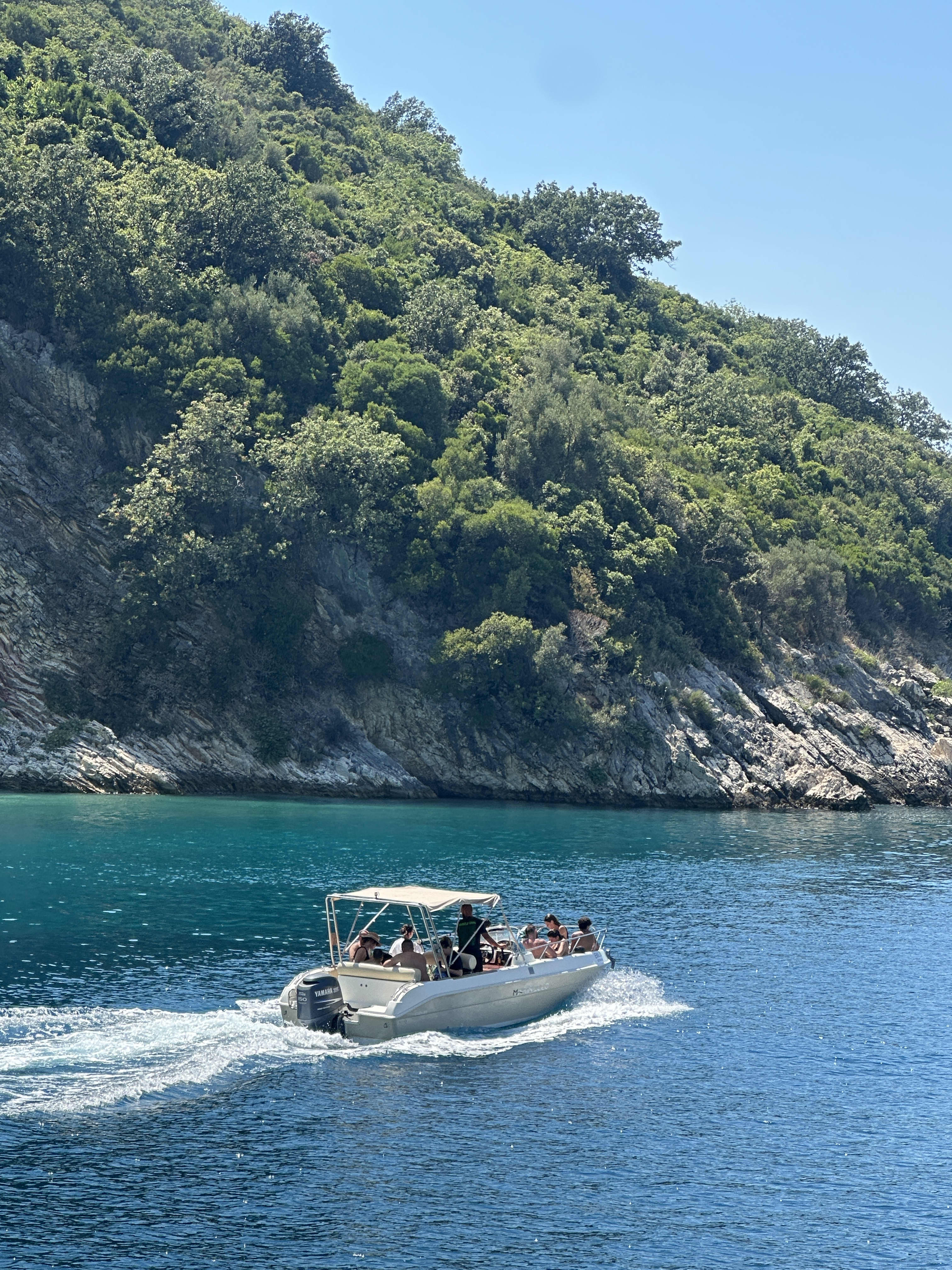 Cover of activity #16191