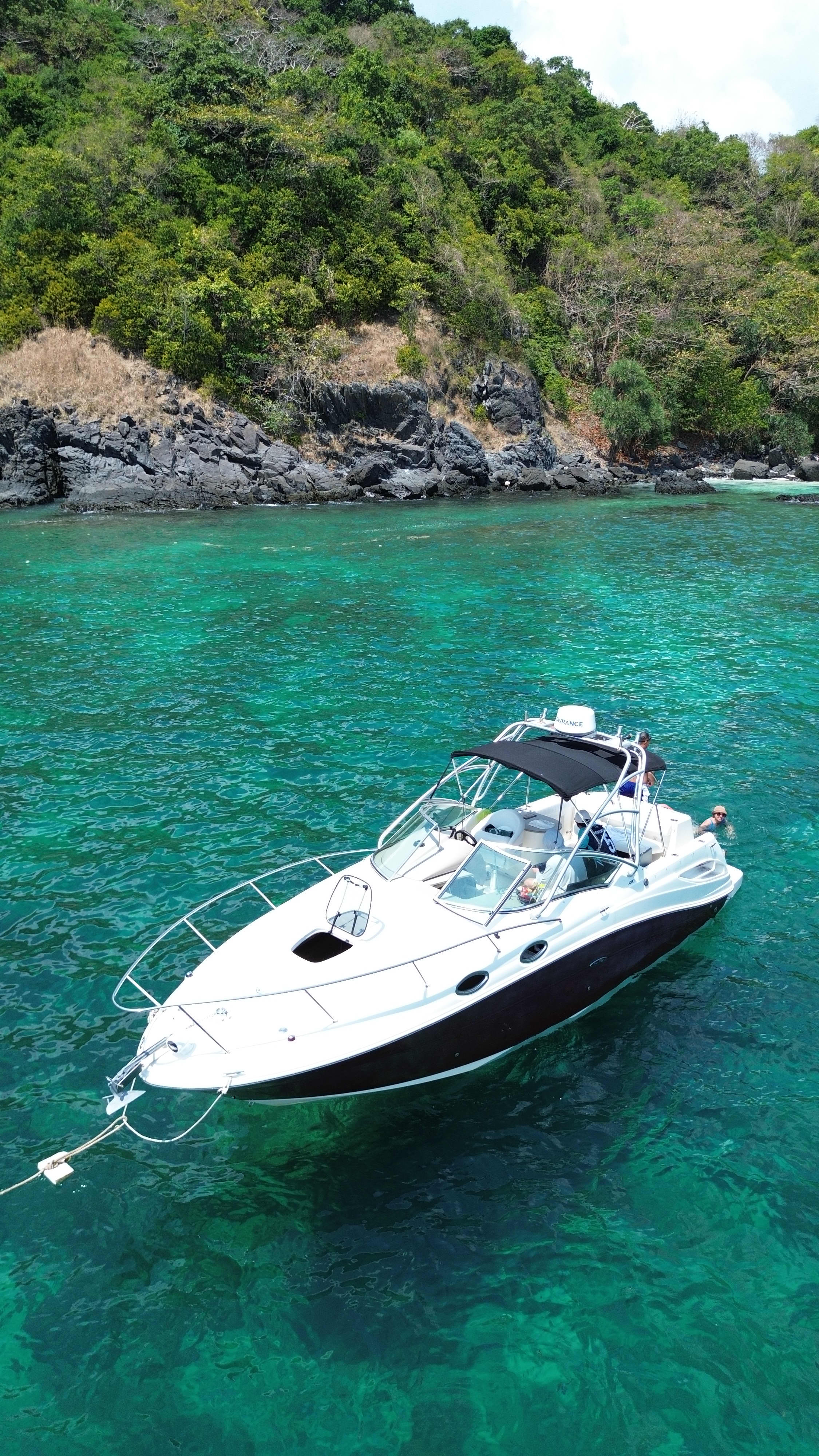 Cover of activity #15988