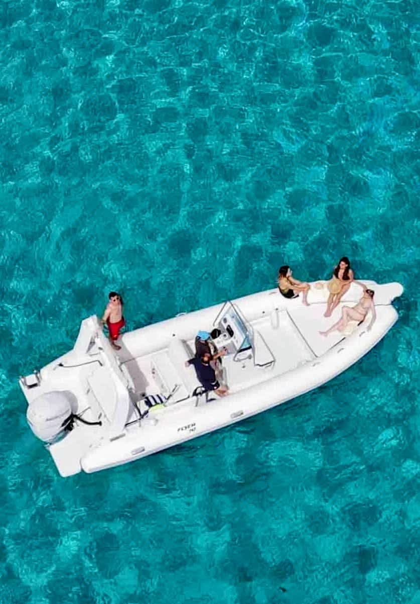 Cover of activity #15363