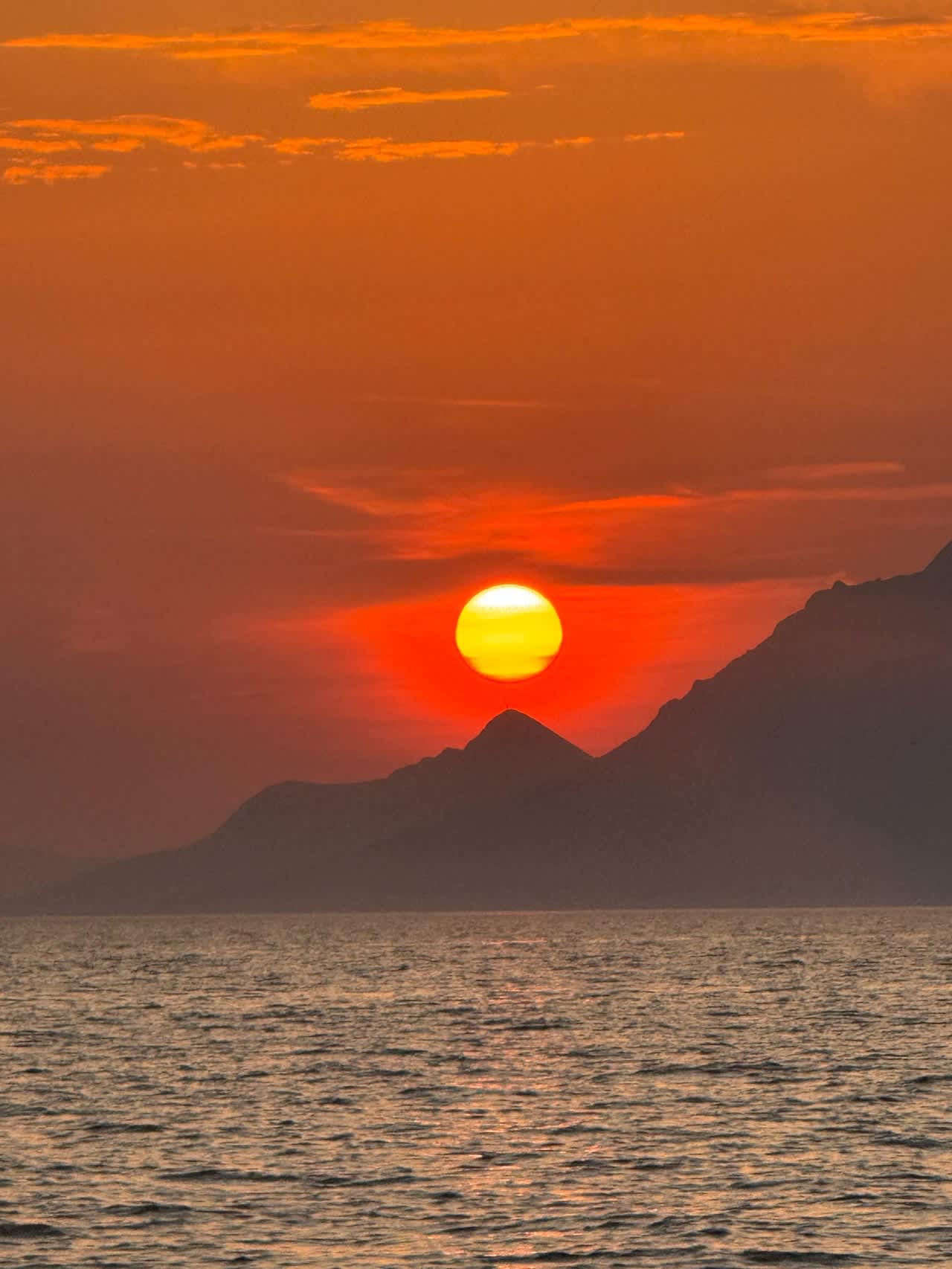 Cover of activity #15786