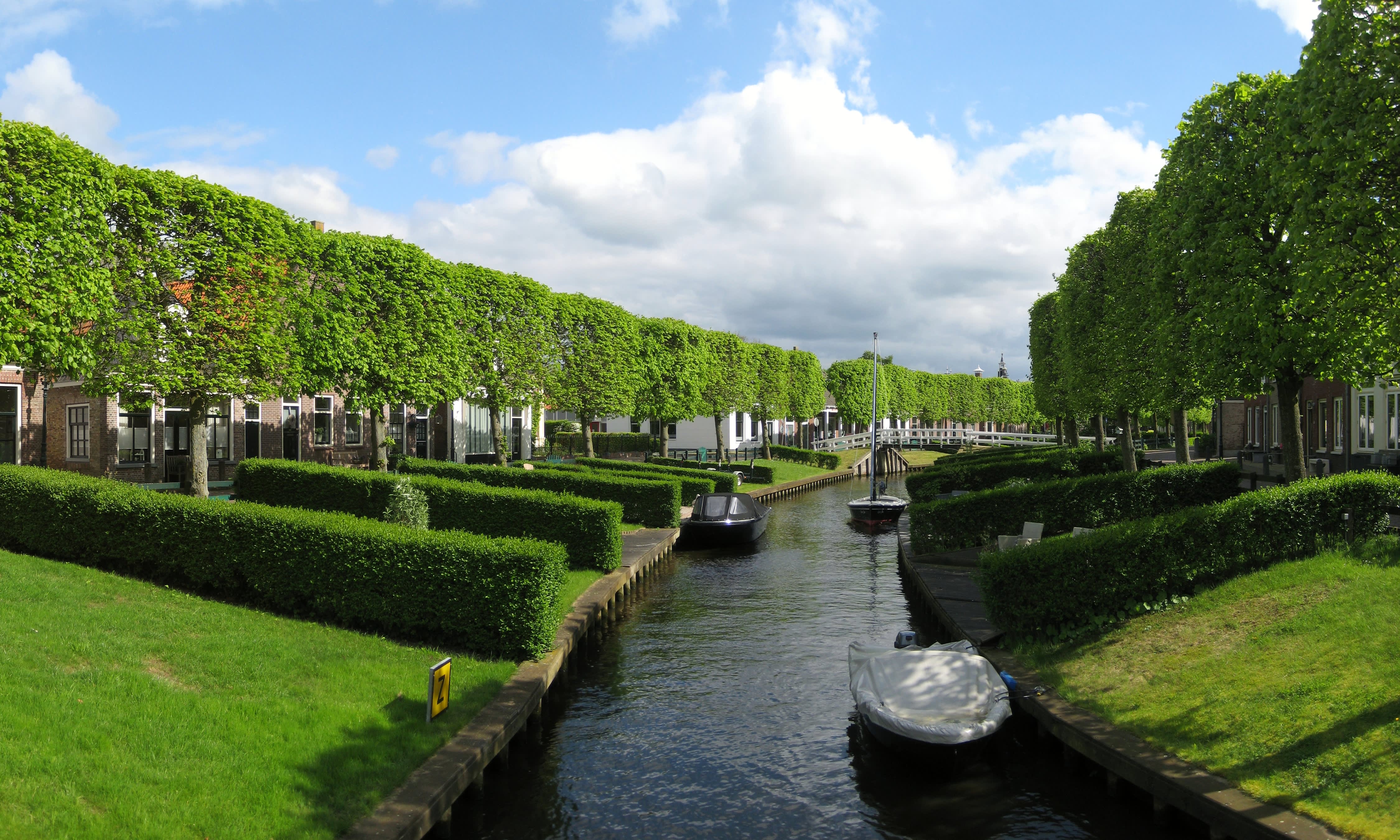 Cover of activity #15659