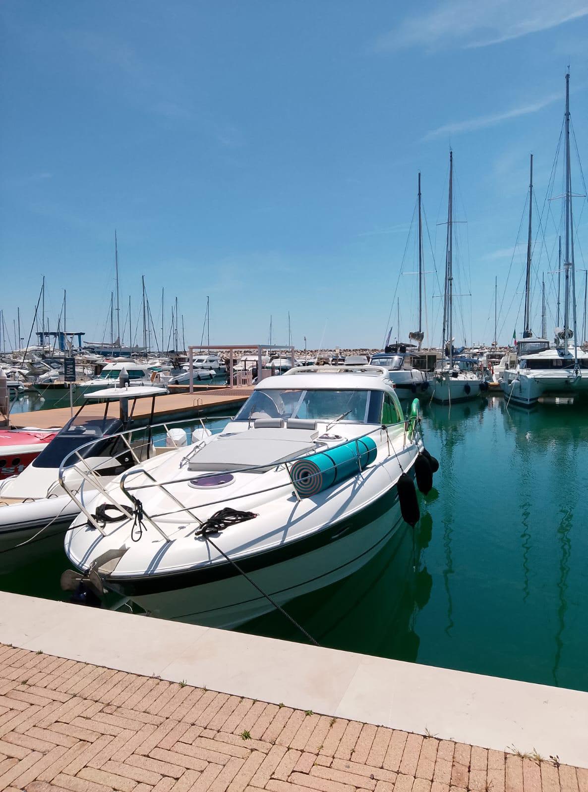 Cover of activity #15750