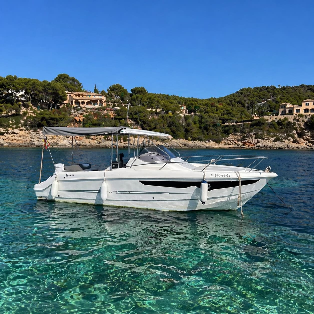 Cover of activity #28571