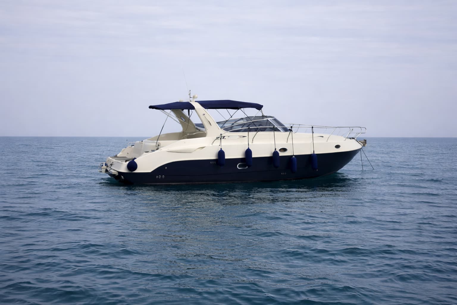 Cover of activity #16413