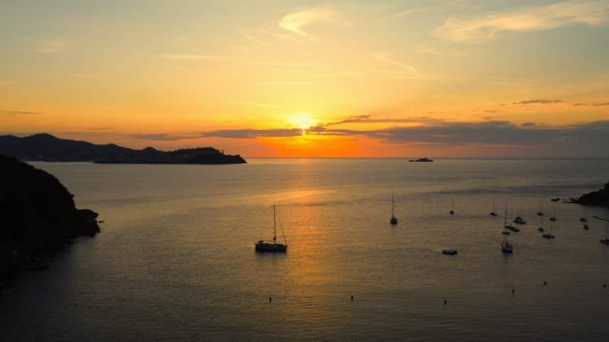 Cover of activity #16417