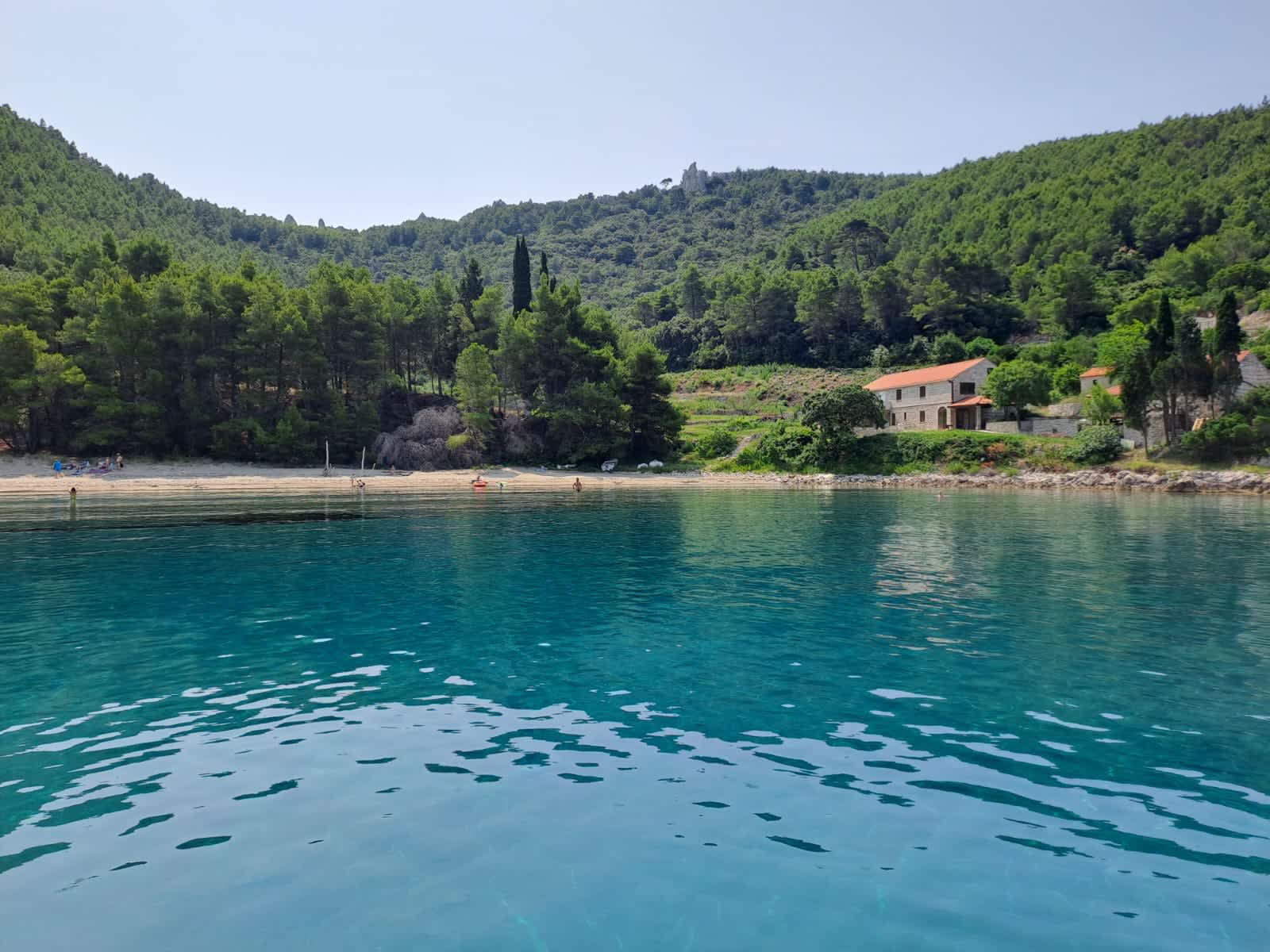 Cover of activity #16134