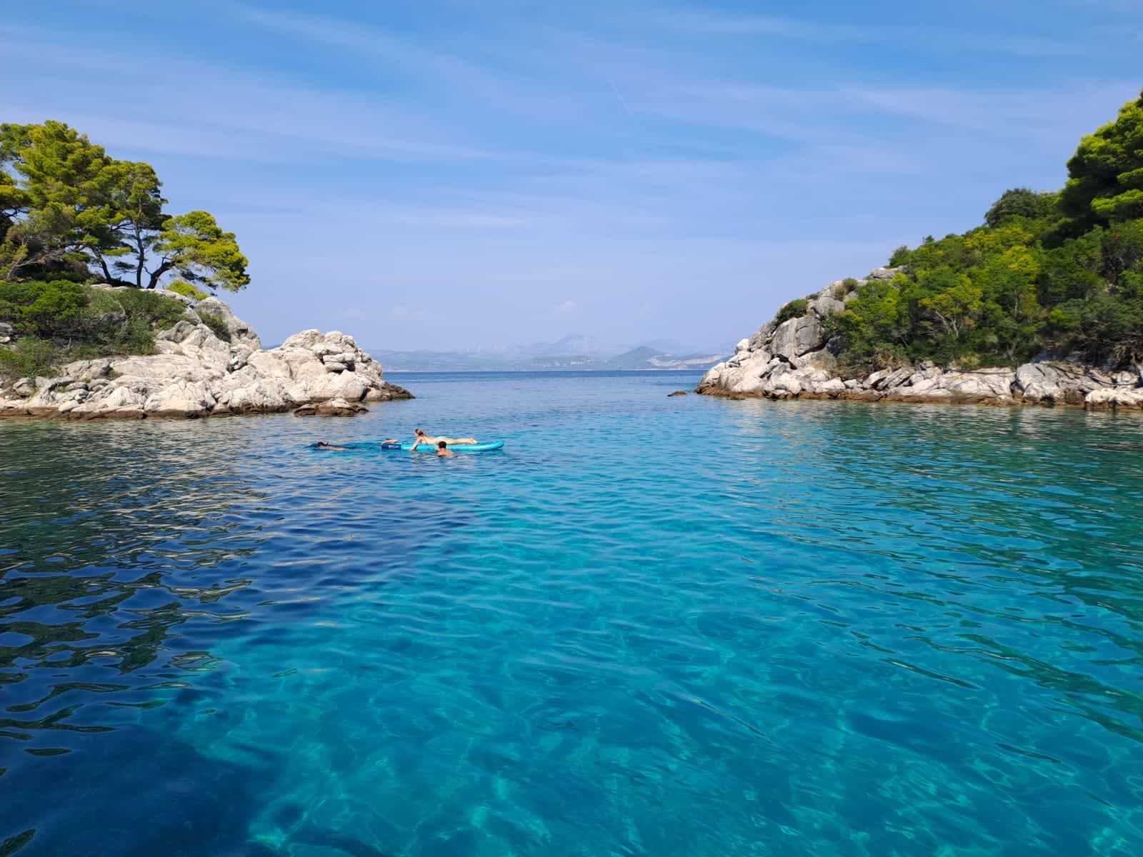 Cover of activity #16137