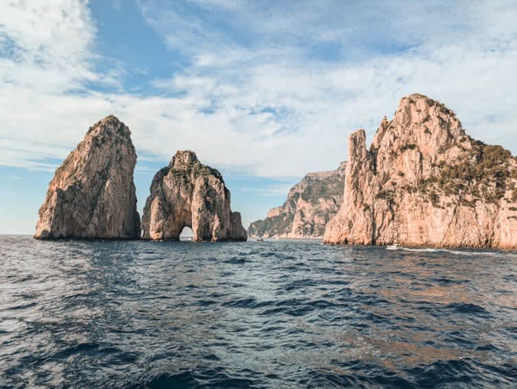 Cover of activity #16972