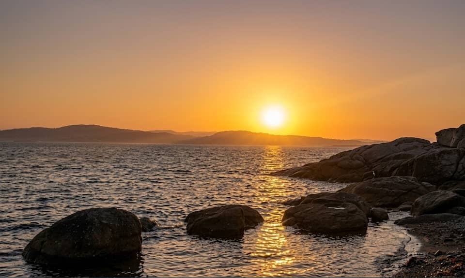 Cover of activity #16426