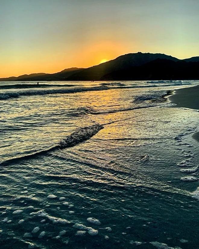 Cover of activity #17905