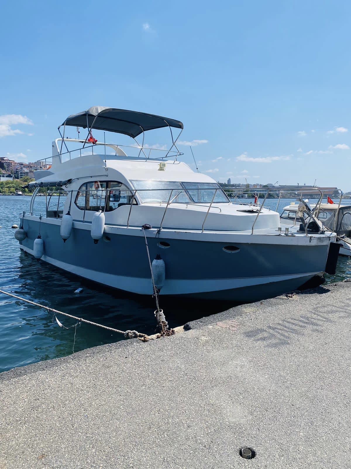 Cover of activity #16578