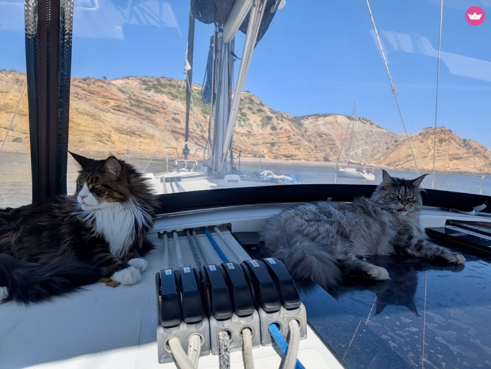 Cover of activity #20762