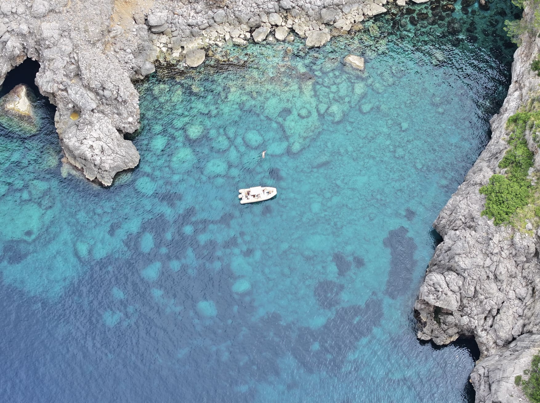 Cover of activity #20645