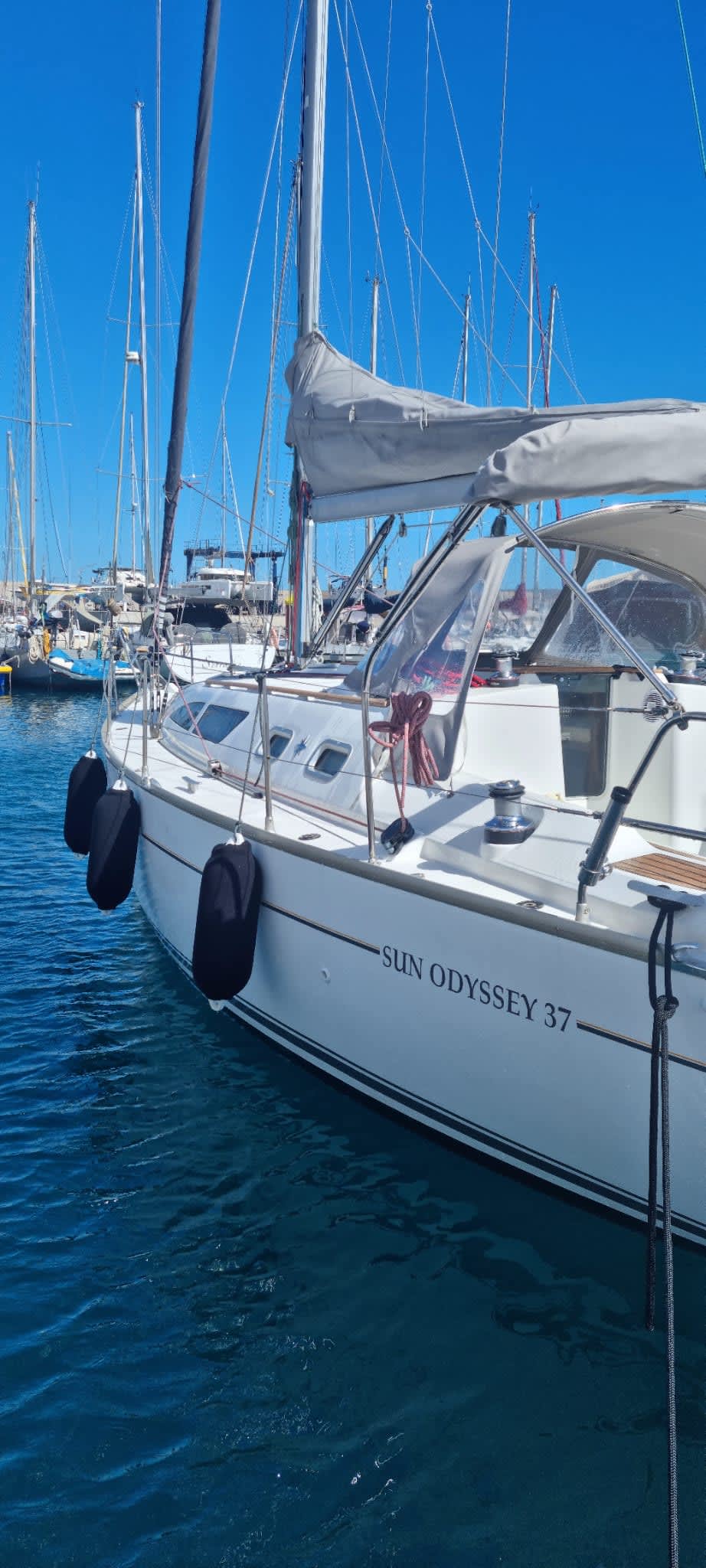 Cover of activity #17223