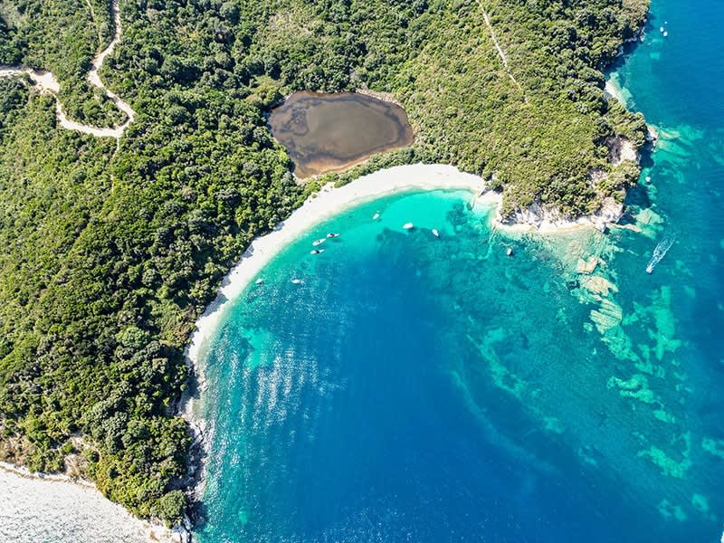 Cover of activity #20490