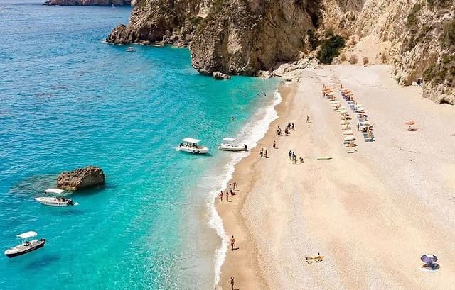 Cover of activity #20491