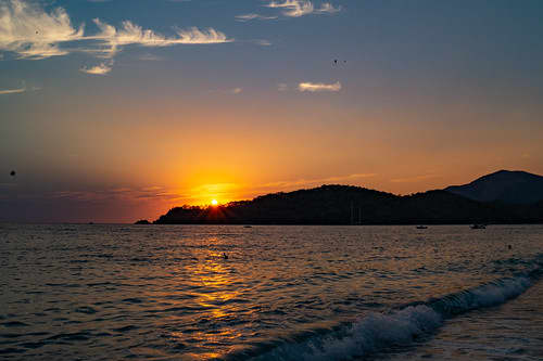 Cover of activity #20563