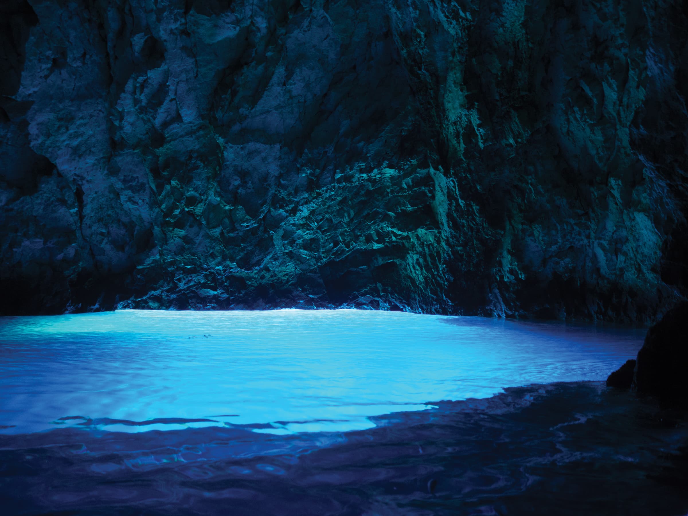 Cover of activity #20444