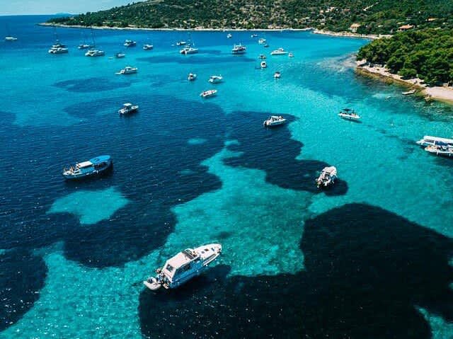 Cover of activity #20803