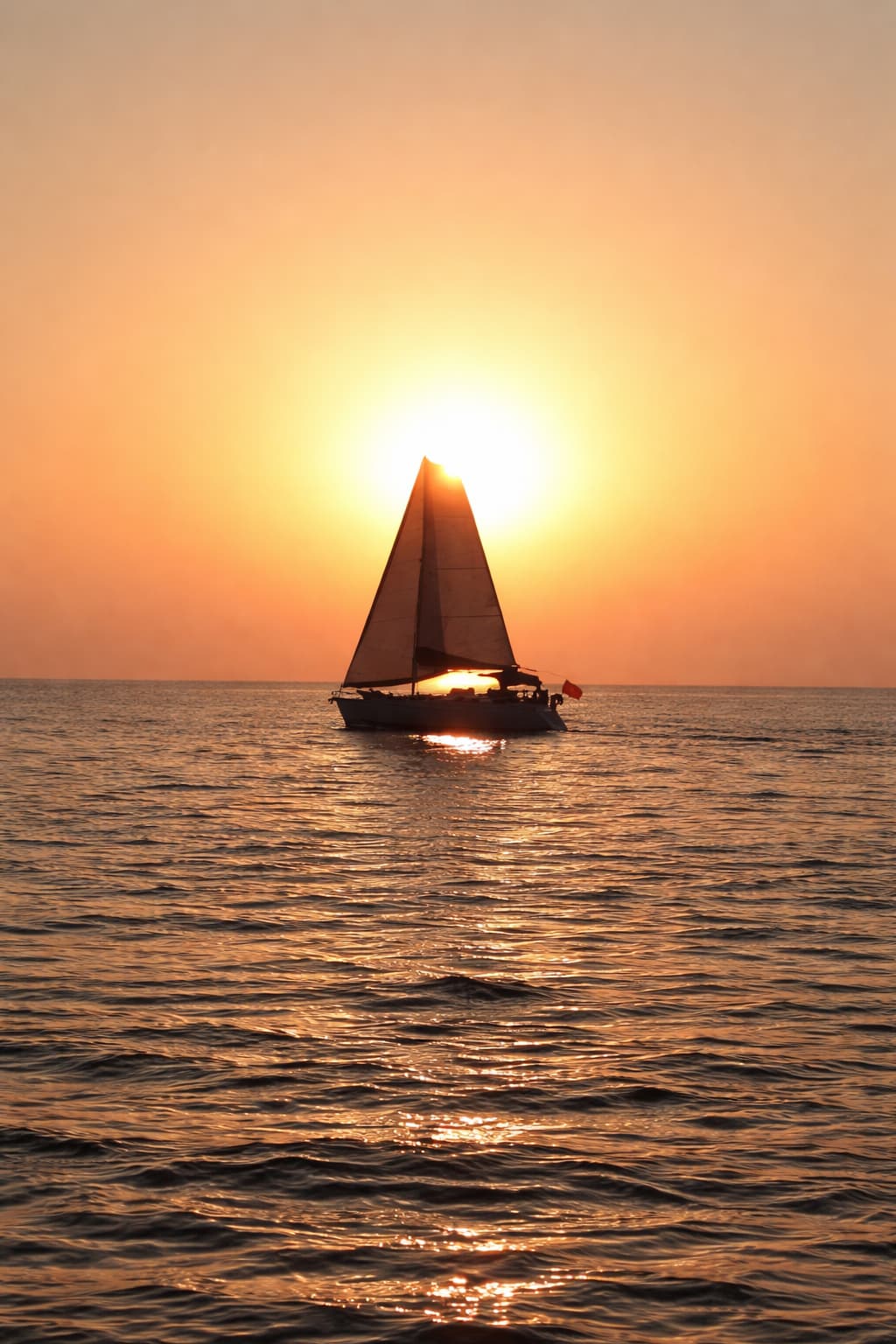 Cover of activity #20598