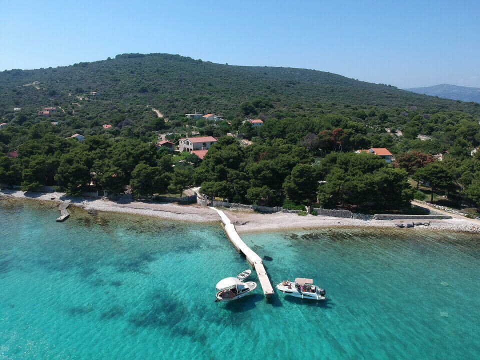 Cover of activity #17156