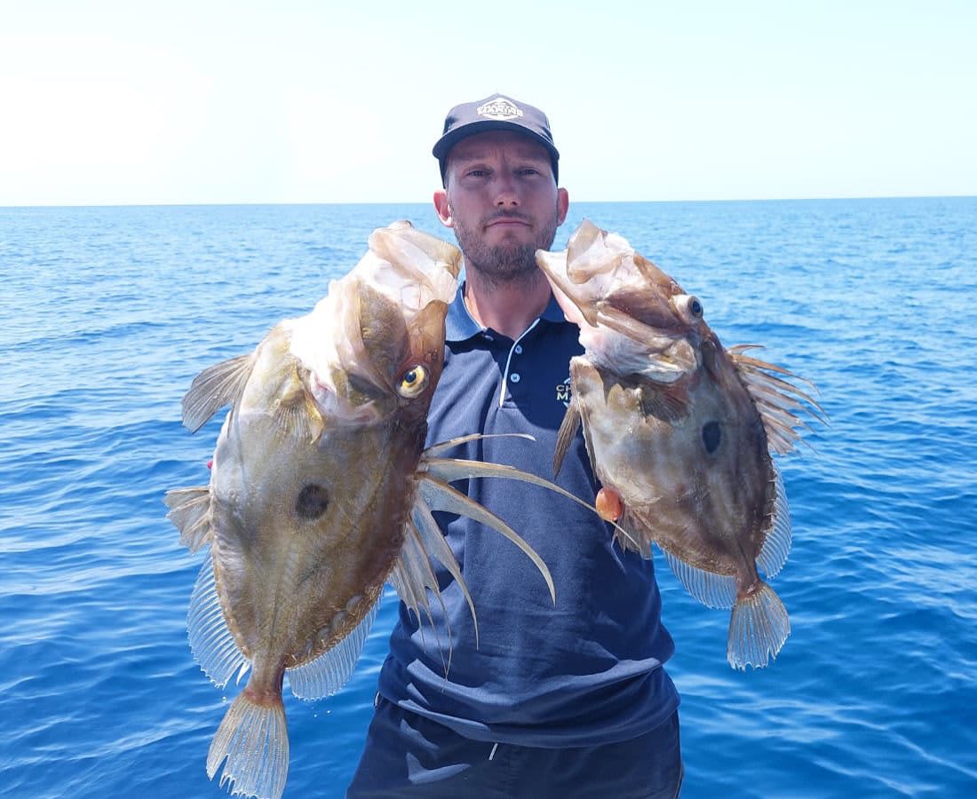 Cover of activity #15061