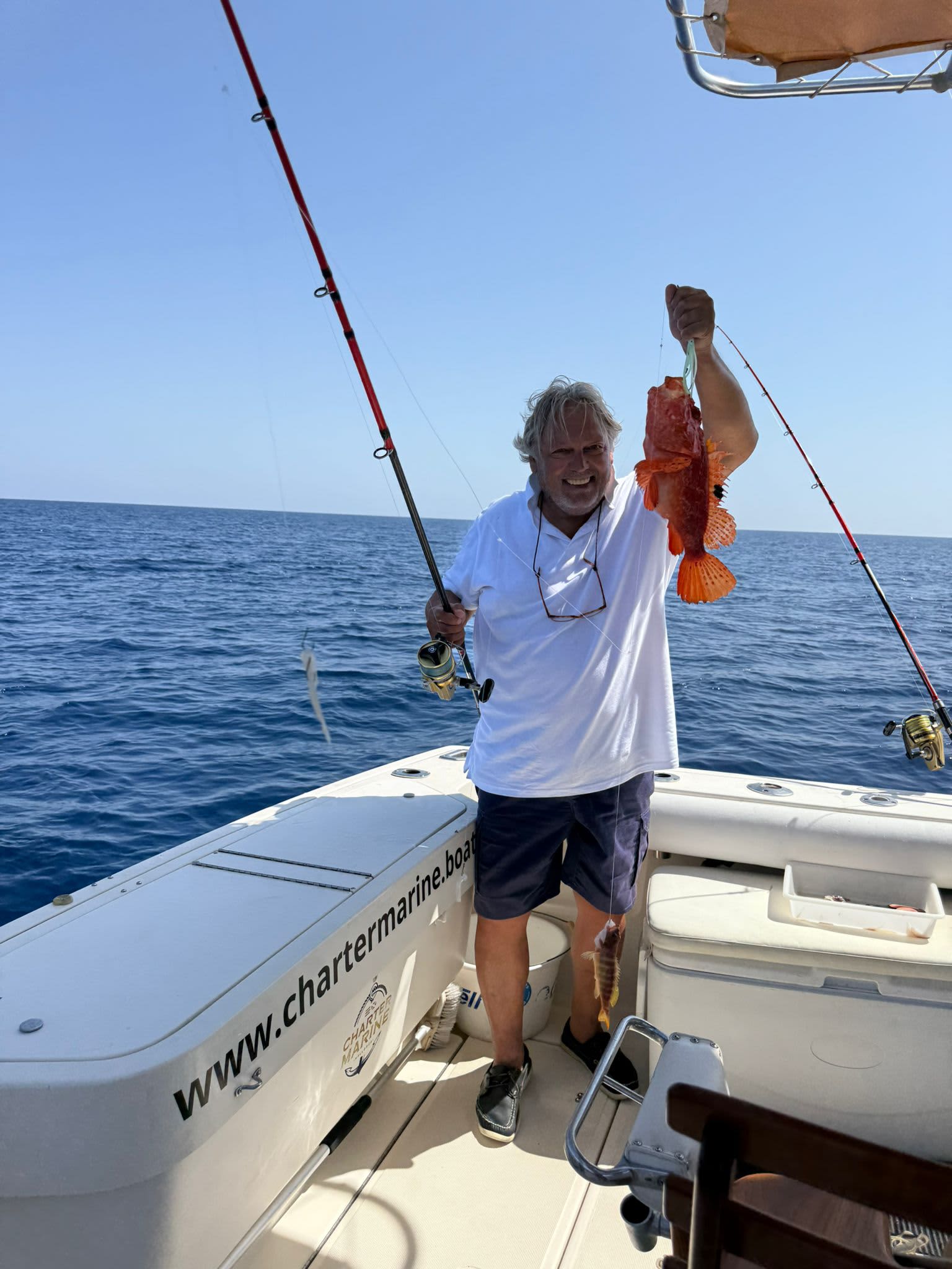 Cover of activity #16705